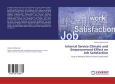 Copertina di Internal Service Climate and Empowerment Effect on Job Satisfaction