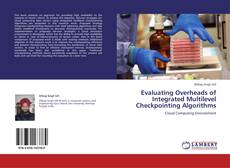 Evaluating Overheads of Integrated Multilevel Checkpointing Algorithms kitap kapağı