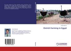 Ostrich Farming in Egypt的封面