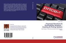 Copertina di Financial Structure & Profitability Analysis –Costing & Pricing System