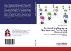 Copertina di Territorial Intelligence, A New Approach For Clusters Development