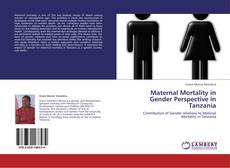 Bookcover of Maternal Mortality in Gender Perspective in Tanzania