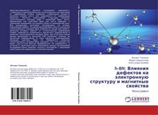 Buchcover von h-BN: Влияния дефектов на электронную структуру и магнитные свойства