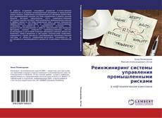 Portada del libro de Реинжиниринг системы управления промышленными рисками