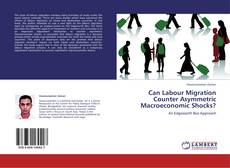 Capa do livro de Can Labour Migration Counter Asymmetric Macroeconomic Shocks? 