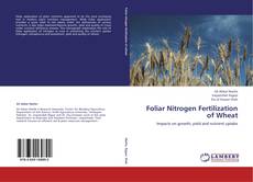 Обложка Foliar Nitrogen Fertilization of Wheat