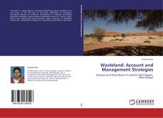 Couverture de Wasteland: Account and  Management Strategies