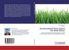 Buchcover von Environmental flow regime  for Wadi Zomar