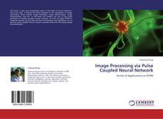Capa do livro de Image Processing via Pulse Coupled Neural Network 