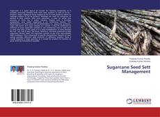 Borítókép a  Sugarcane Seed Sett Management - hoz