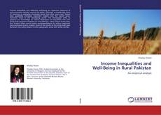 Buchcover von Income Inequalities and Well-Being in Rural Pakistan