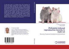 Bookcover of Phthalate-induced reproductive toxicity in male rat