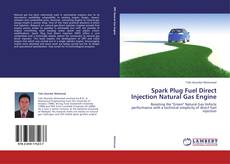 Copertina di Spark Plug Fuel Direct Injection Natural Gas Engine
