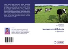 Bookcover of Management Efficiency