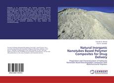 Capa do livro de Natural Inorganic Nanotubes Based Polymer Composites for Drug Delivery 