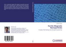 Buchcover von Ferrite Magnetic Nanoparticles