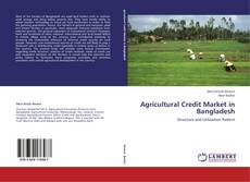 Agricultural Credit Market in Bangladesh kitap kapağı