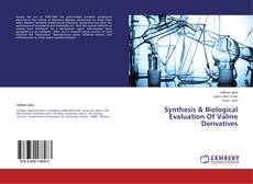 Copertina di Synthesis & Biological Evaluation Of Valine Derivatives