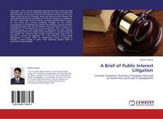 Portada del libro de A Brief of Public Interest Litigation