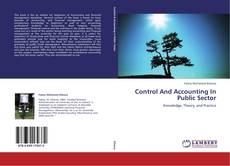 Buchcover von Control And Accounting In Public Sector