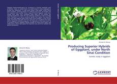 Producing Superior Hybrids of Eggplant, under North Sinai Condition kitap kapağı