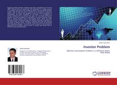 Bookcover of Investor Problem