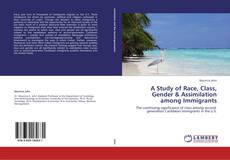 A Study of Race, Class, Gender & Assimilation among Immigrants kitap kapağı