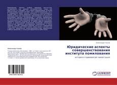 Capa do livro de Юридические аспекты совершенствования института помилования 