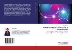Buchcover von What Matter Can Sustain A Wormhole?