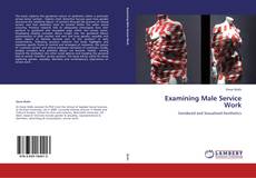 Bookcover of Examining Male Service Work