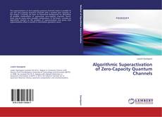 Couverture de Algorithmic Superactivation of Zero-Capacity Quantum Channels