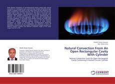Buchcover von Natural Convection From An Open Rectangular Cavity With Cylinder