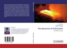Couverture de The Dynamics of Calcination