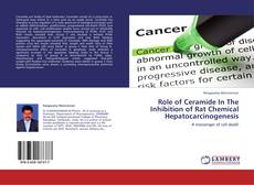 Buchcover von Role of Ceramide In The Inhibition of Rat Chemical Hepatocarcinogenesis