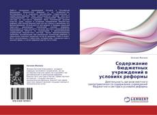 Capa do livro de Содержание бюджетных учреждений в условиях реформы 
