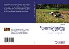 Buchcover von Development Interventions, Gender and Social Change in Rural China
