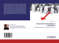 Capa do livro de Consumer perception in pantaloon 