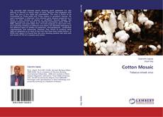 Bookcover of Cotton Mosaic