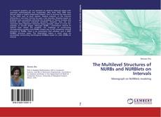 Borítókép a  The Multilevel Structures of NURBs and NURBlets on Intervals - hoz