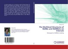 Portada del libro de The Multilevel Structures of NURBs and NURBlets on Intervals