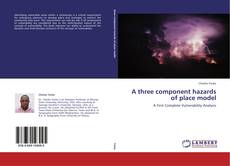 Buchcover von A three component hazards of place model