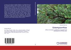 Ectomycorrhiza kitap kapağı