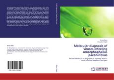 Bookcover of Molecular diagnosis of viruses infecting Amorphophallus paeoniifolius