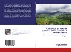 Bookcover of Challenges of Natural Resource Based Livelihood Diversification