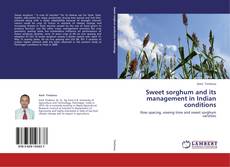 Portada del libro de Sweet sorghum and its management in Indian conditions