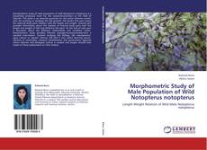 Morphometric Study of Male Population of Wild Notopterus notopterus的封面