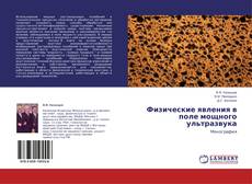 Couverture de Физические явления в поле мощного ультразвука