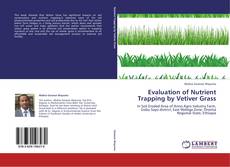 Bookcover of Evaluation of Nutrient Trapping by Vetiver Grass