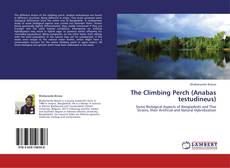 The Climbing Perch (Anabas testudineus)的封面