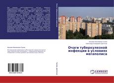 Couverture de Очаги туберкулезной инфекции в условиях мегаполиса